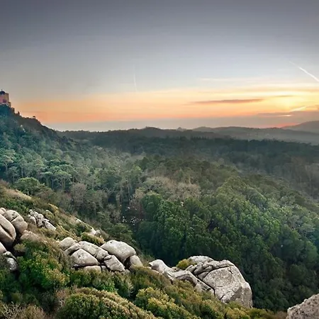 וילה Monserrate סינטרה